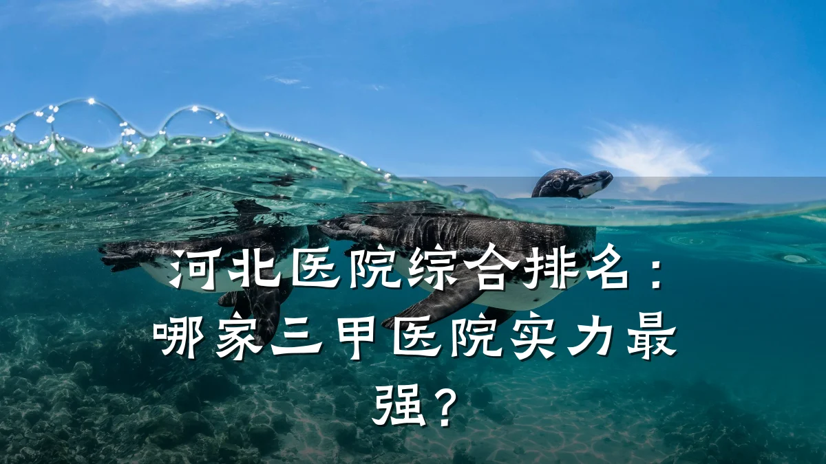 河北医院综合排名：哪家三甲医院实力最强？