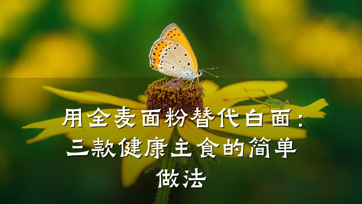 用全麦面粉替代白面:三款健康主食的简单做法