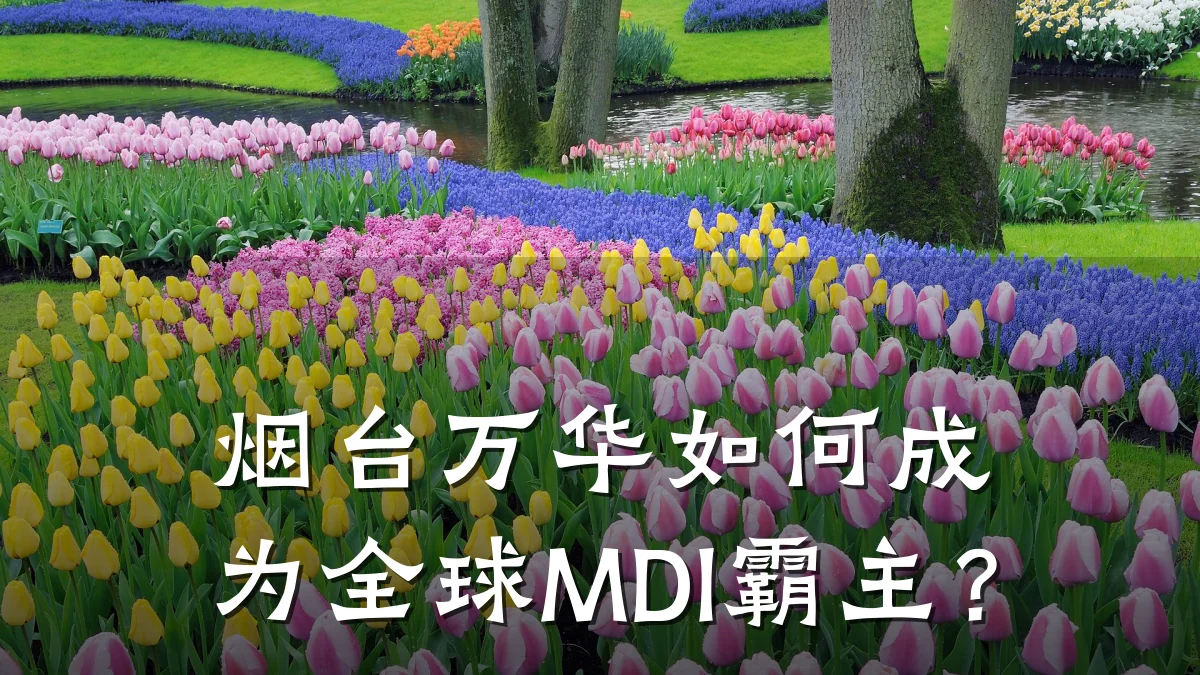 烟台万华如何成为全球MDI霸主?