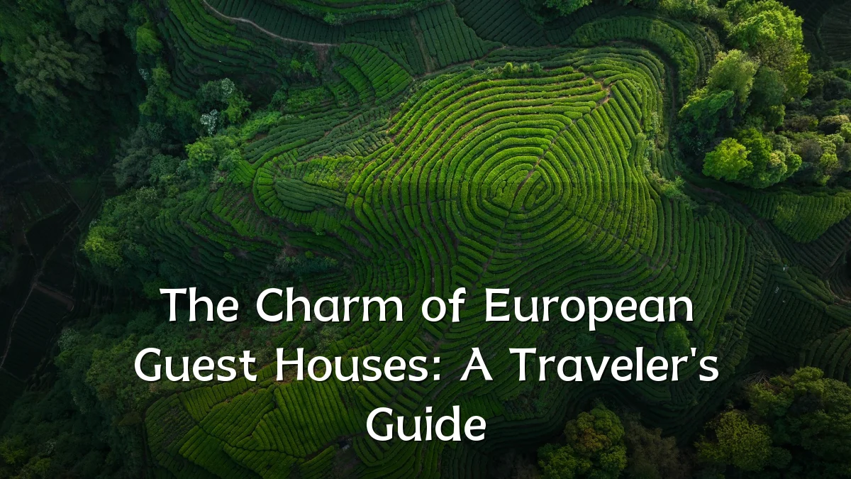 The Charm of European Guest Houses: A Traveler's Guide