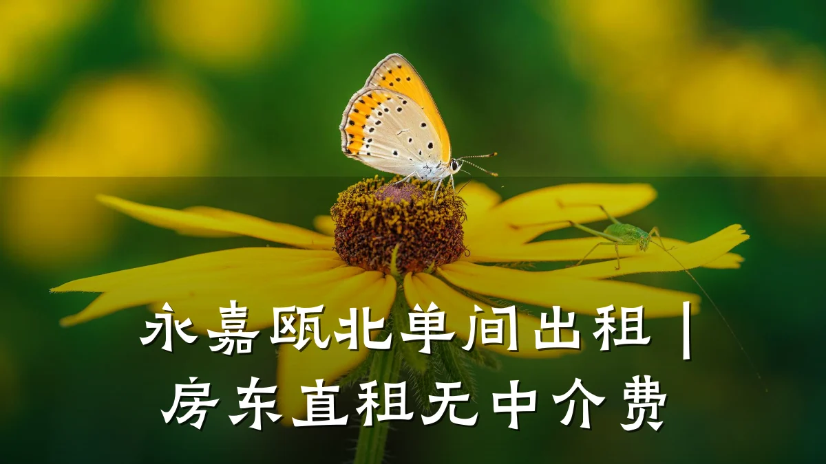 永嘉瓯北单间出租|房东直租无中介费
