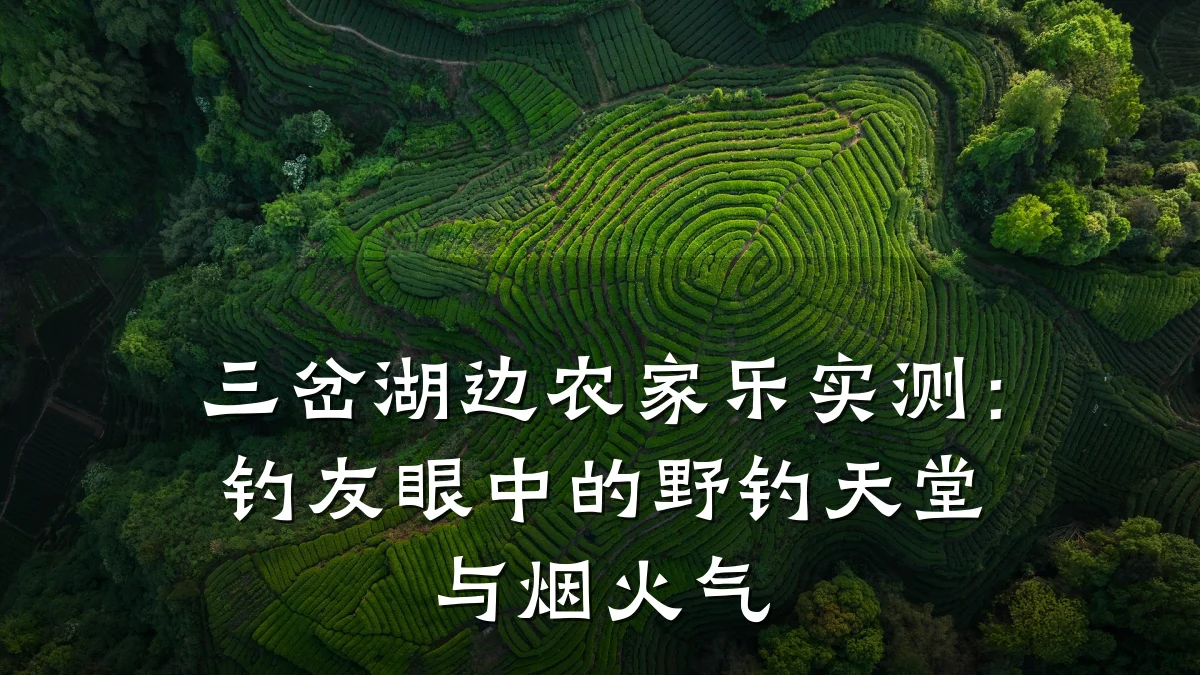 三岔湖边农家乐实测：钓友眼中的野钓天堂与烟火气