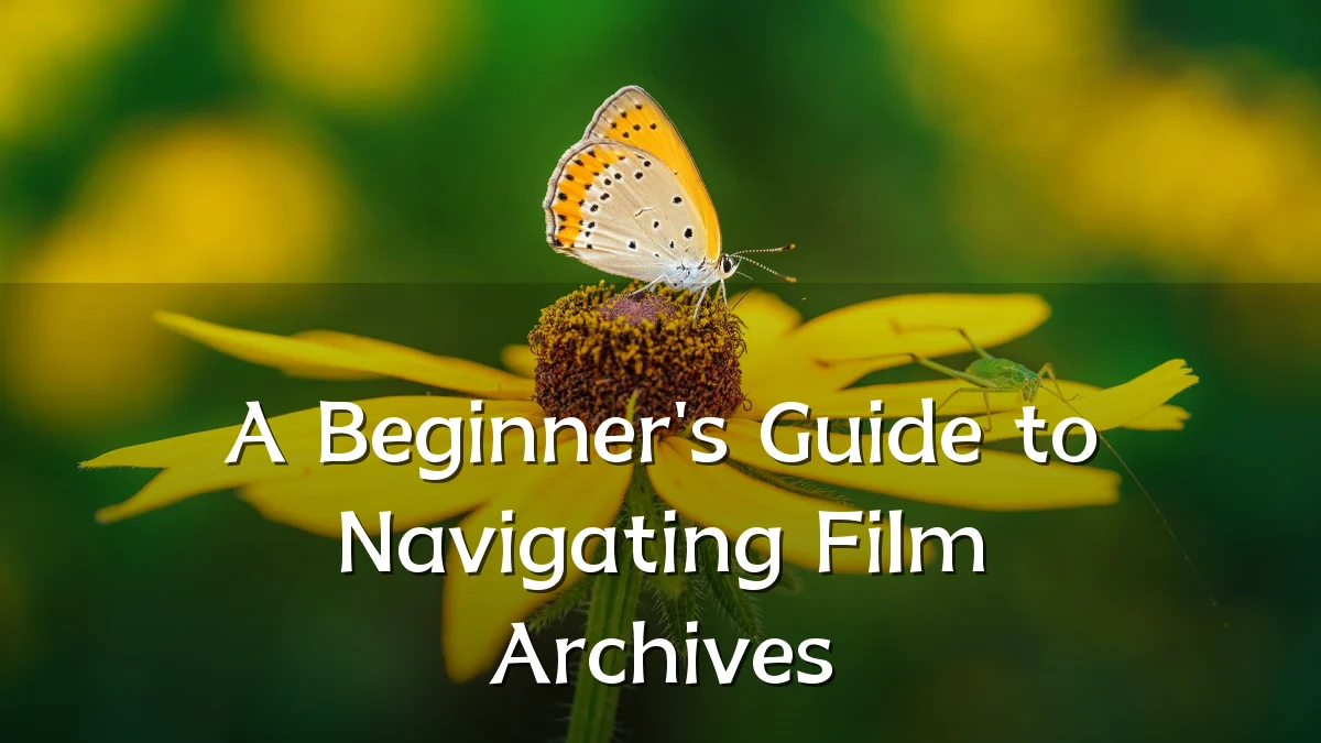 A Beginner's Guide to Navigating Film Archives