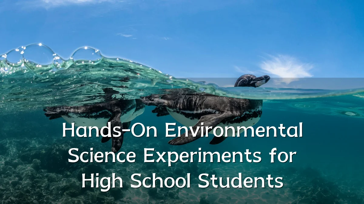 Hands-On Environmental Science Experiments for High School Students