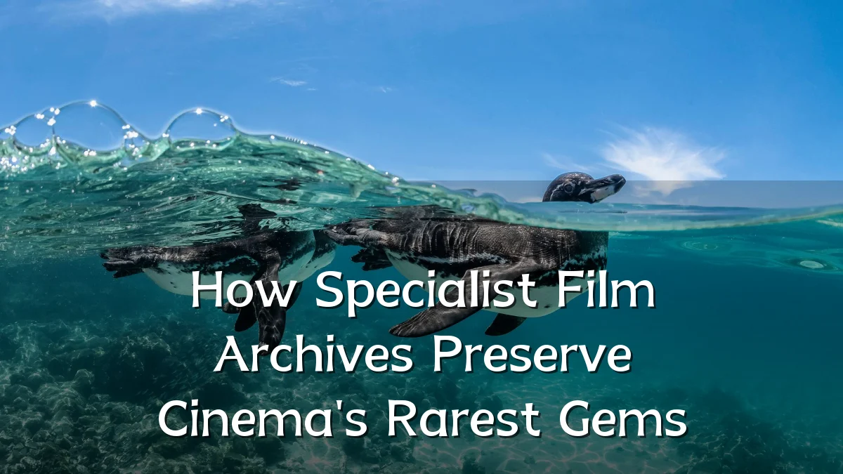 How Specialist Film Archives Preserve Cinema's Rarest Gems