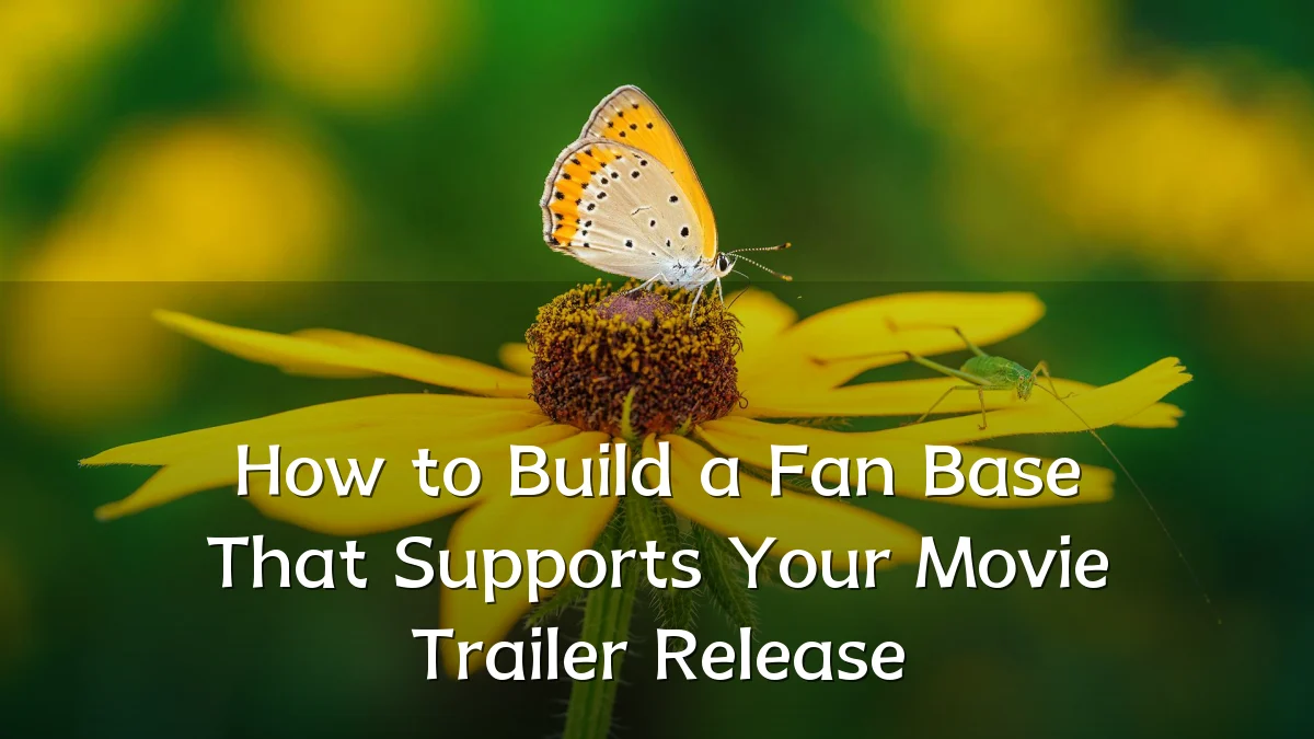 How to Build a Fan Base That Supports Your Movie Trailer Release