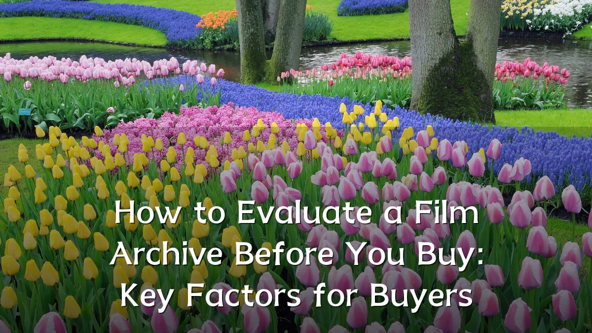 How to Evaluate a Film Archive Before You Buy: Key Factors for Buyers