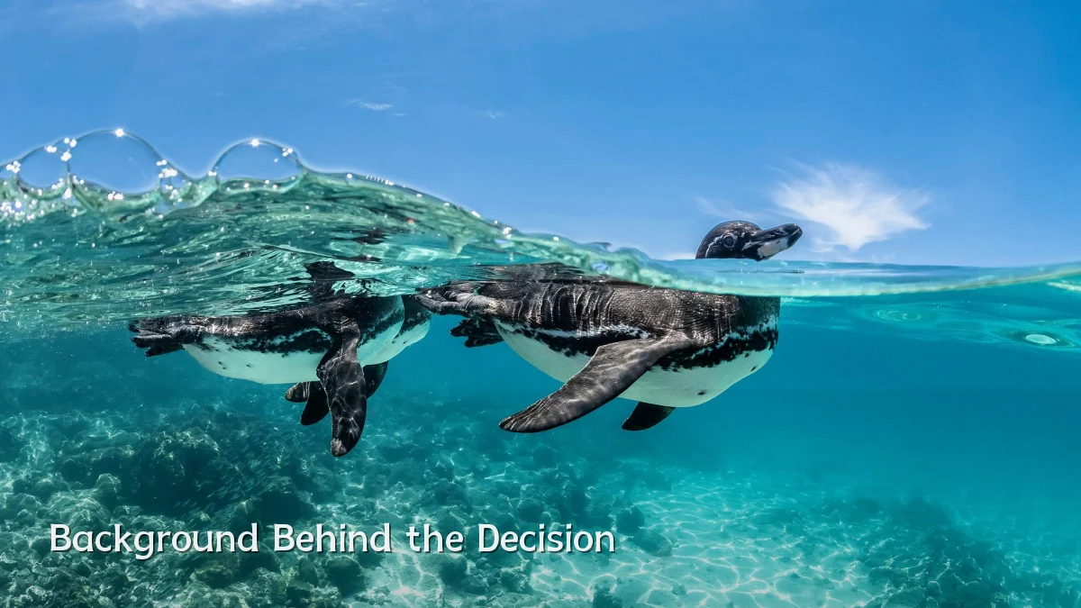 Background Behind the Decision