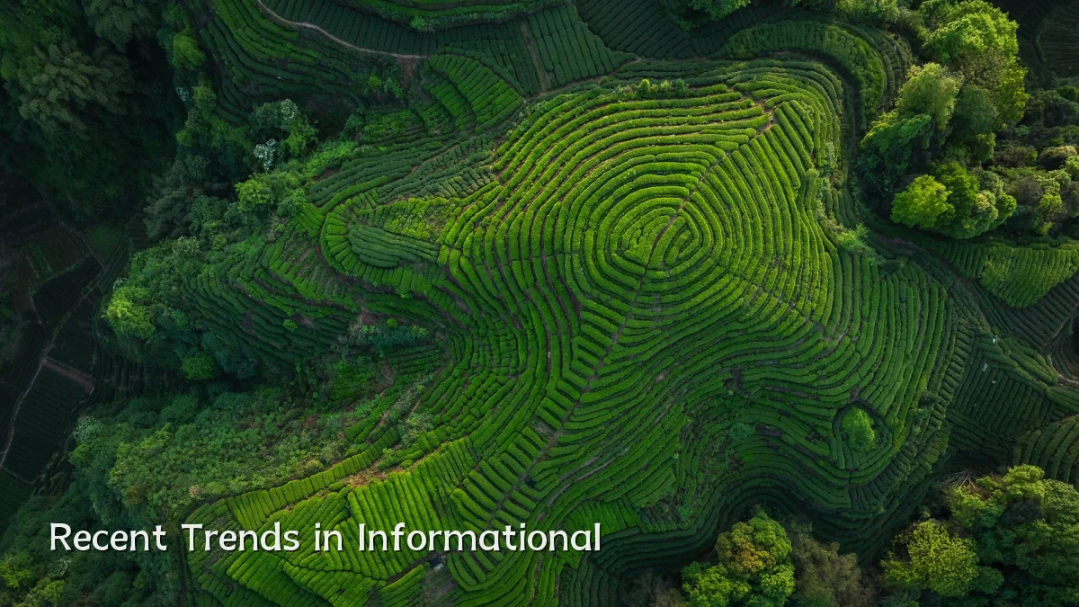 Recent Trends in Informational