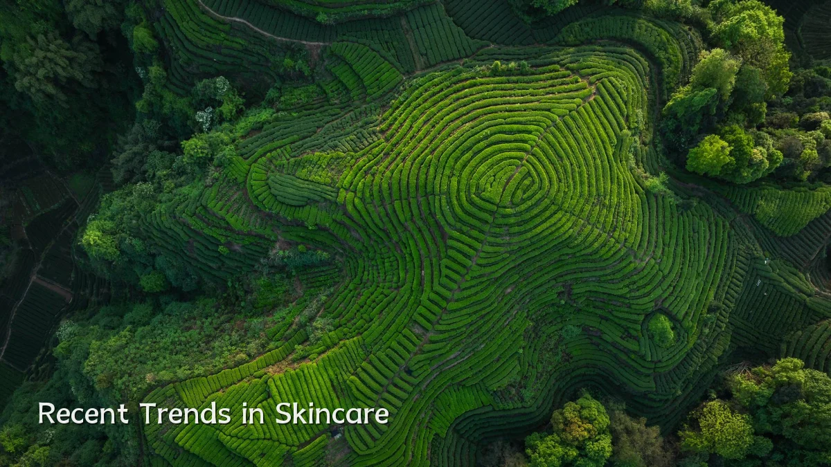 Recent Trends in Skincare
