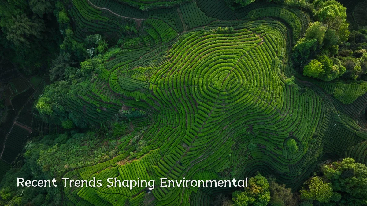 Recent Trends Shaping Environmental