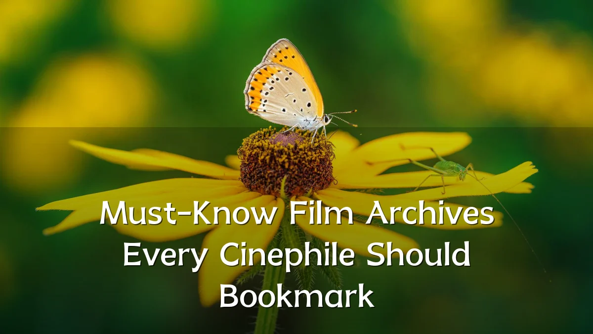 Must-Know Film Archives Every Cinephile Should Bookmark