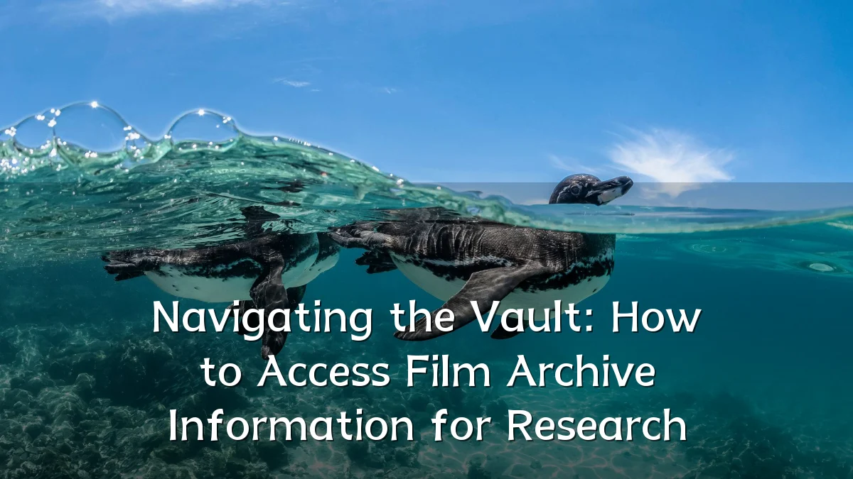 Navigating the Vault: How to Access Film Archive Information for Research