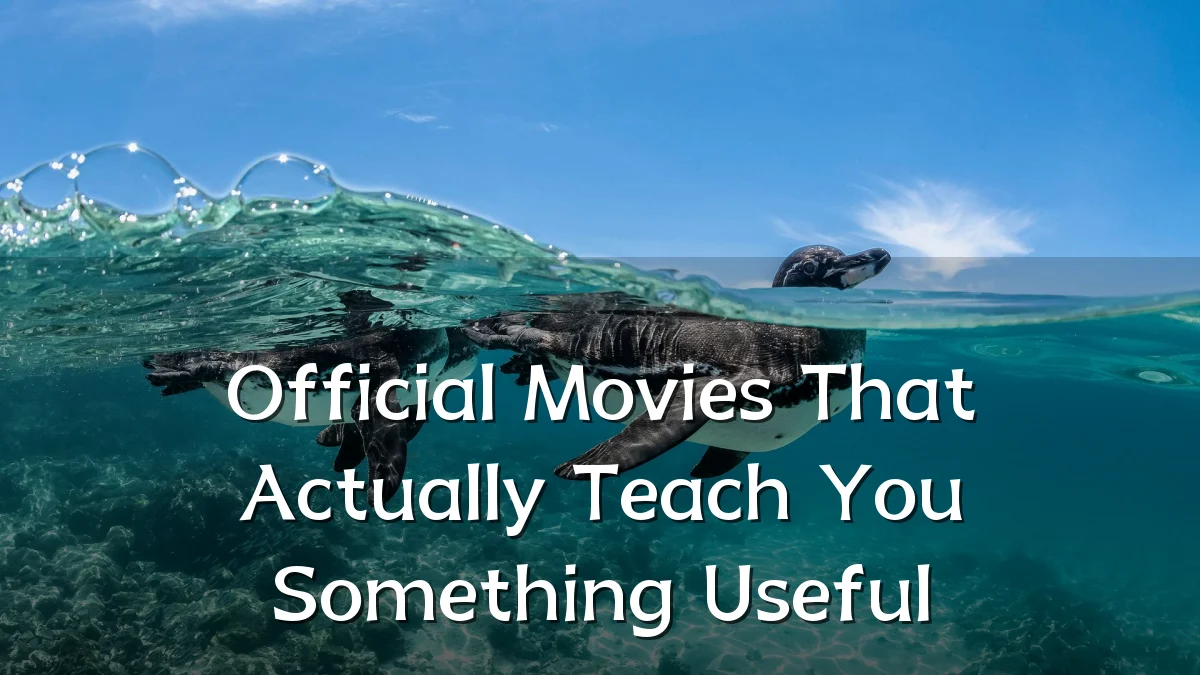 Official Movies That Actually Teach You Something Useful