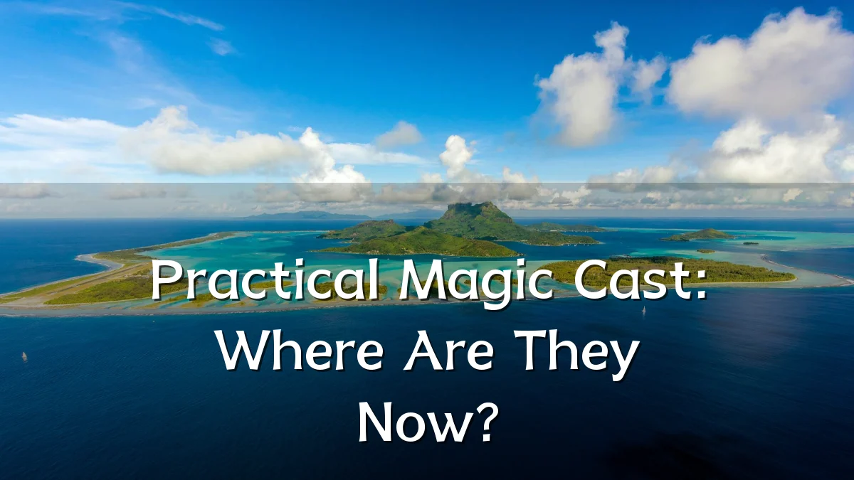 Practical Magic Cast: Where Are They Now?
