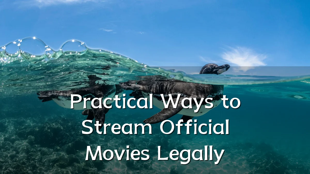 Practical Ways to Stream Official Movies Legally