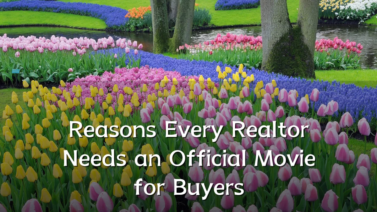 Reasons Every Realtor Needs an Official Movie for Buyers