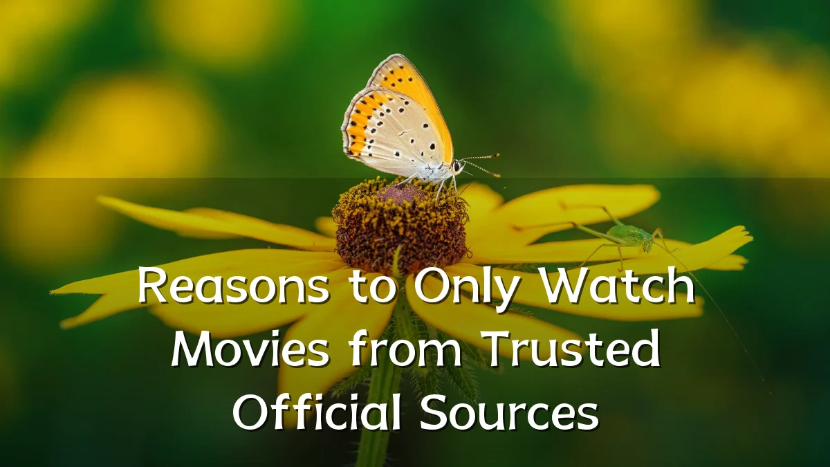 Reasons to Only Watch Movies from Trusted Official Sources