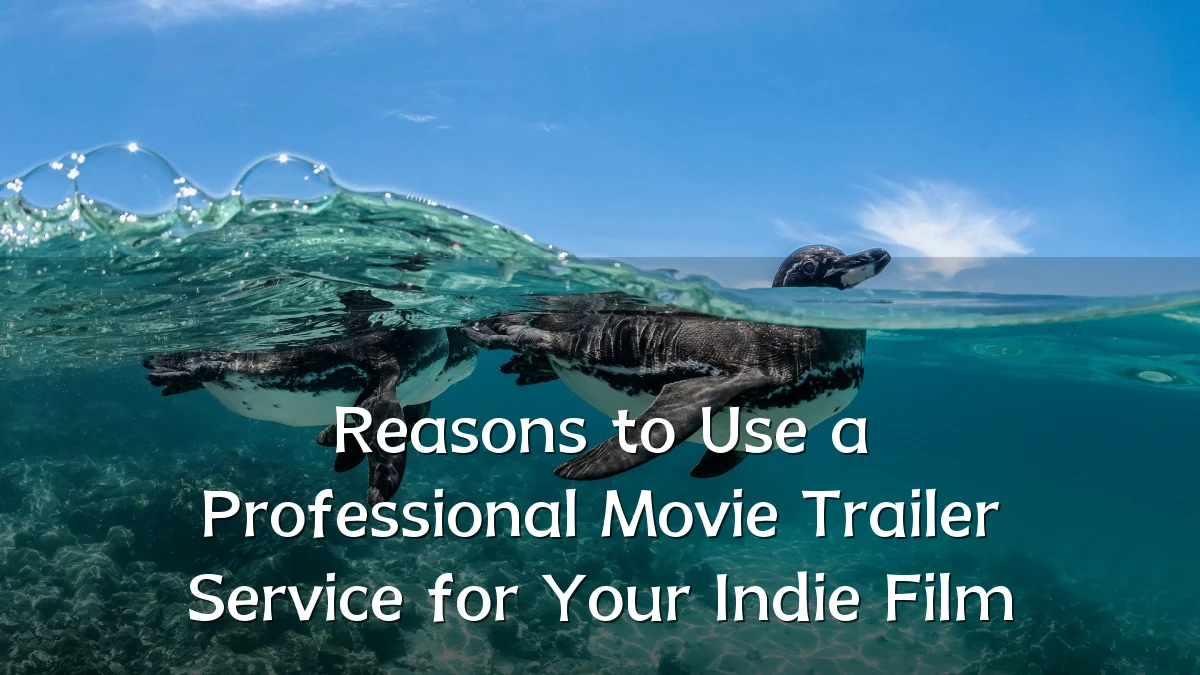Reasons to Use a Professional Movie Trailer Service for Your Indie Film