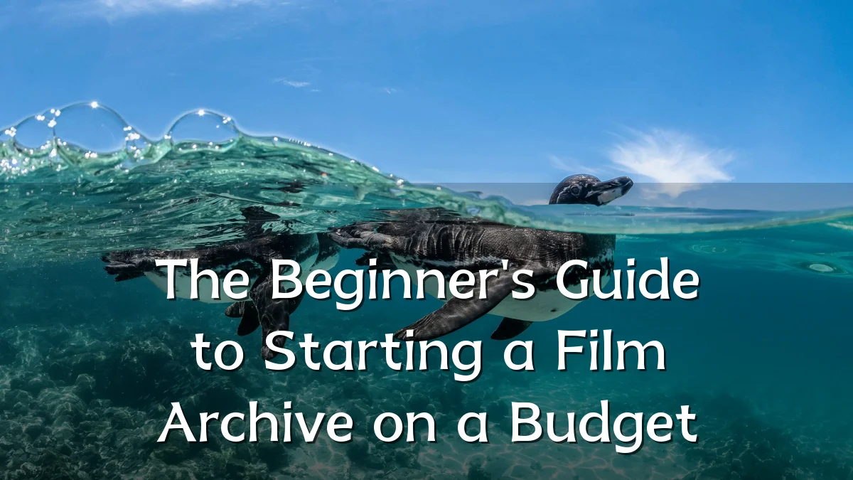 The Beginner's Guide to Starting a Film Archive on a Budget