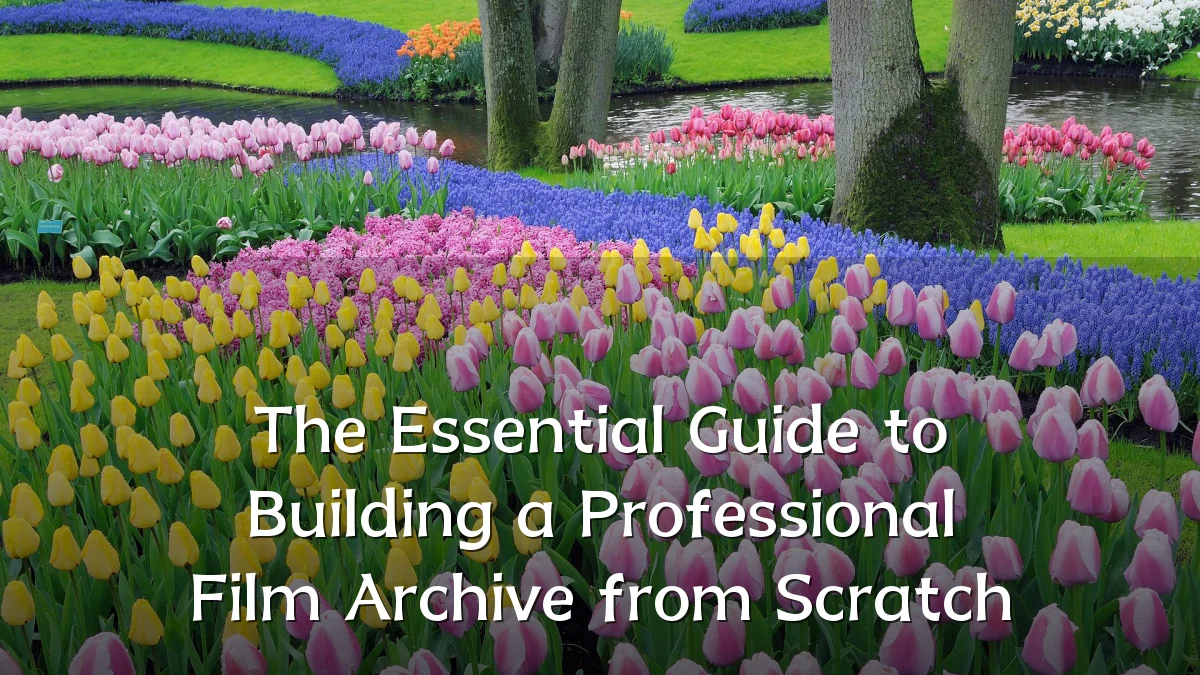 The Essential Guide to Building a Professional Film Archive from Scratch