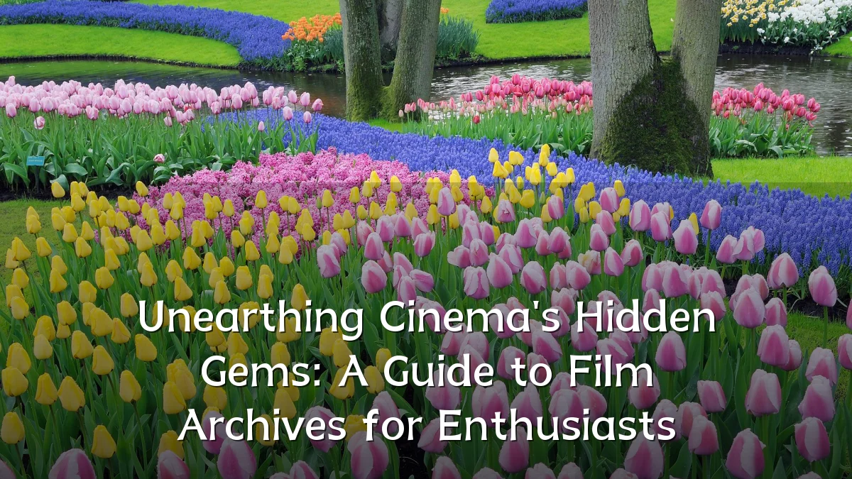 Unearthing Cinema's Hidden Gems: A Guide to Film Archives for Enthusiasts