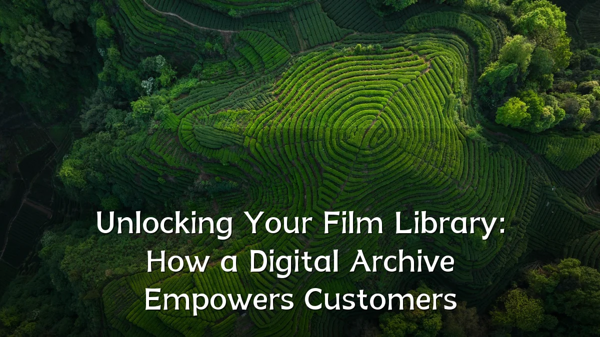 Unlocking Your Film Library: How a Digital Archive Empowers Customers