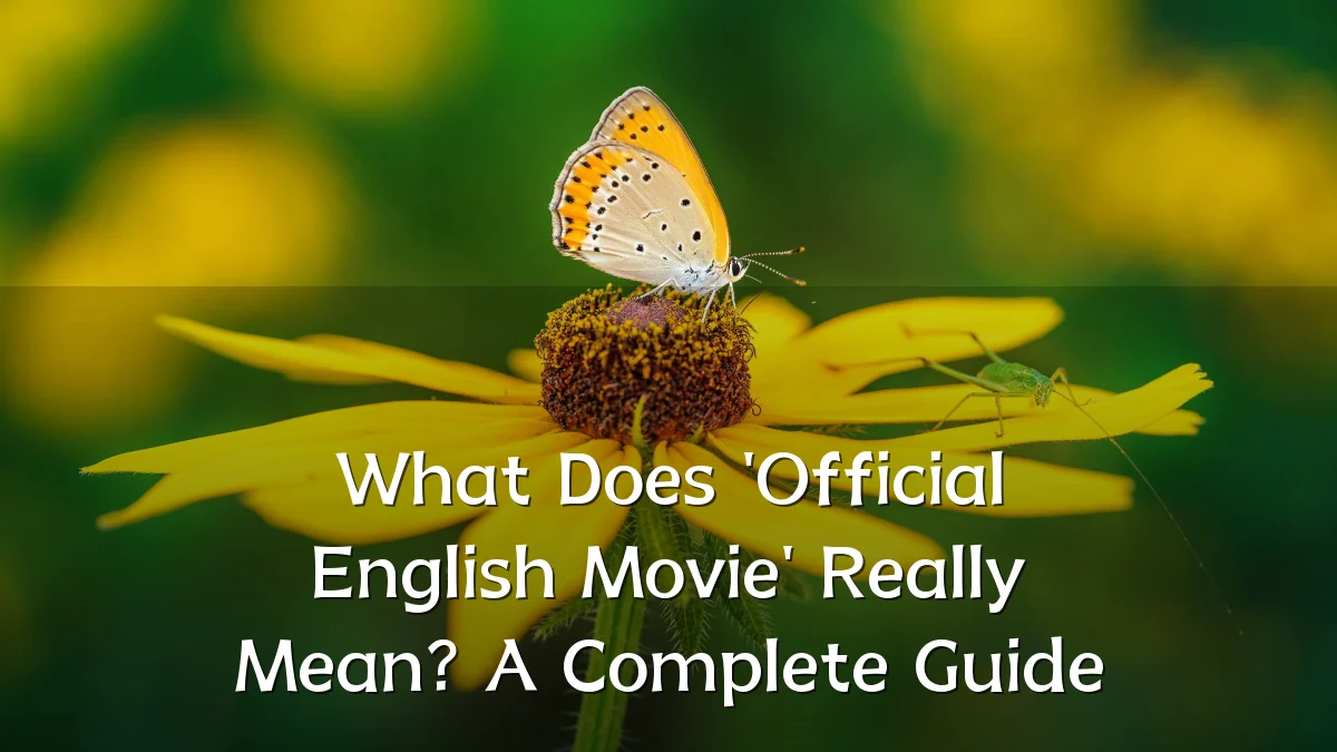 What Does 'Official English Movie' Really Mean? A Complete Guide