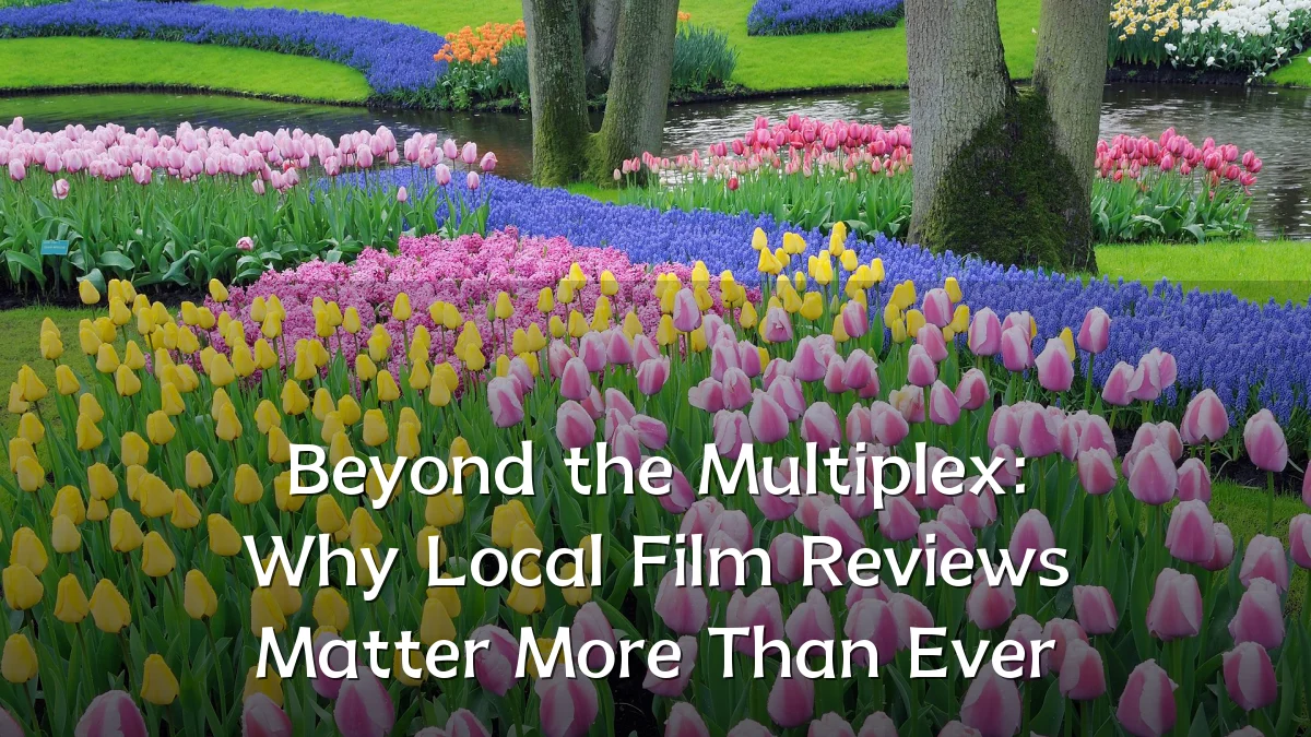 Beyond the Multiplex: Why Local Film Reviews Matter More Than Ever