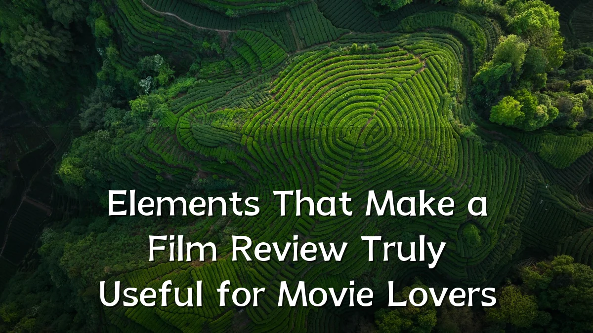 Elements That Make a Film Review Truly Useful for Movie Lovers