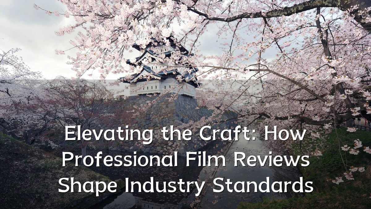 Elevating the Craft: How Professional Film Reviews Shape Industry Standards