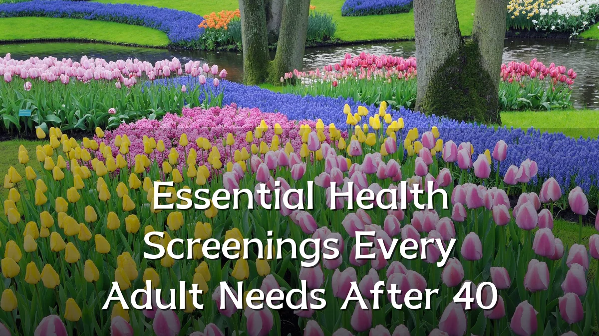 Essential Health Screenings Every Adult Needs After 40