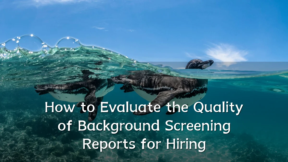 How to Evaluate the Quality of Background Screening Reports for Hiring
