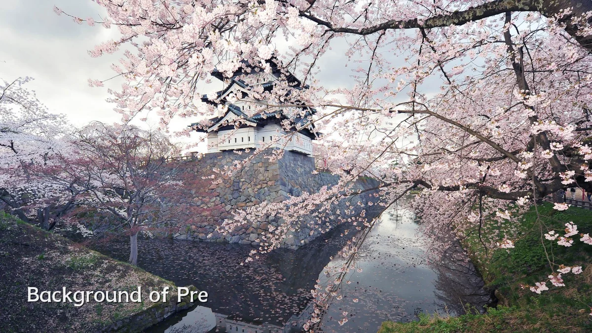 Background of Pre