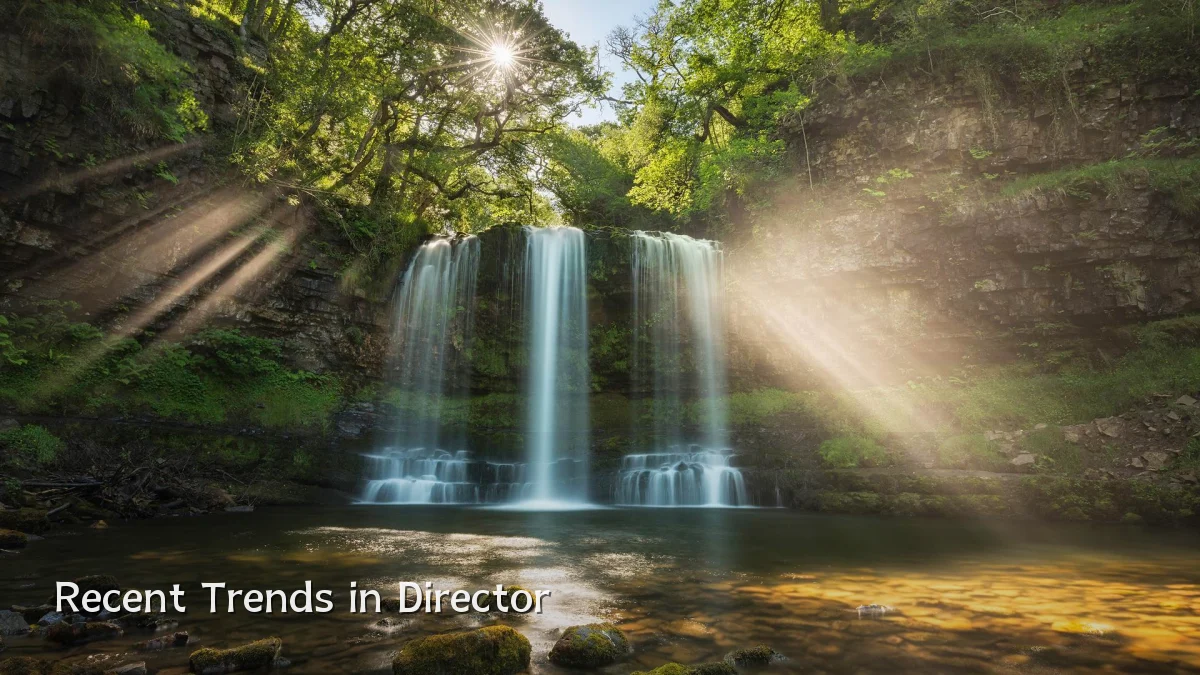 Recent Trends in Director