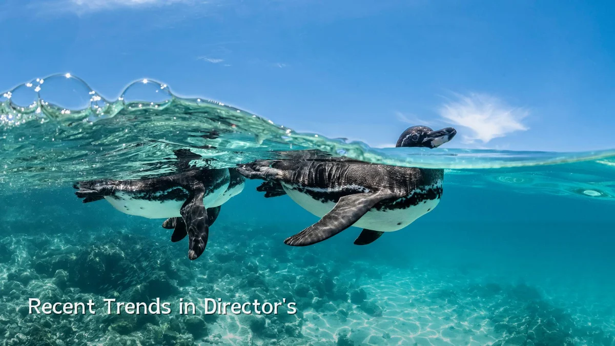 Recent Trends in Director's