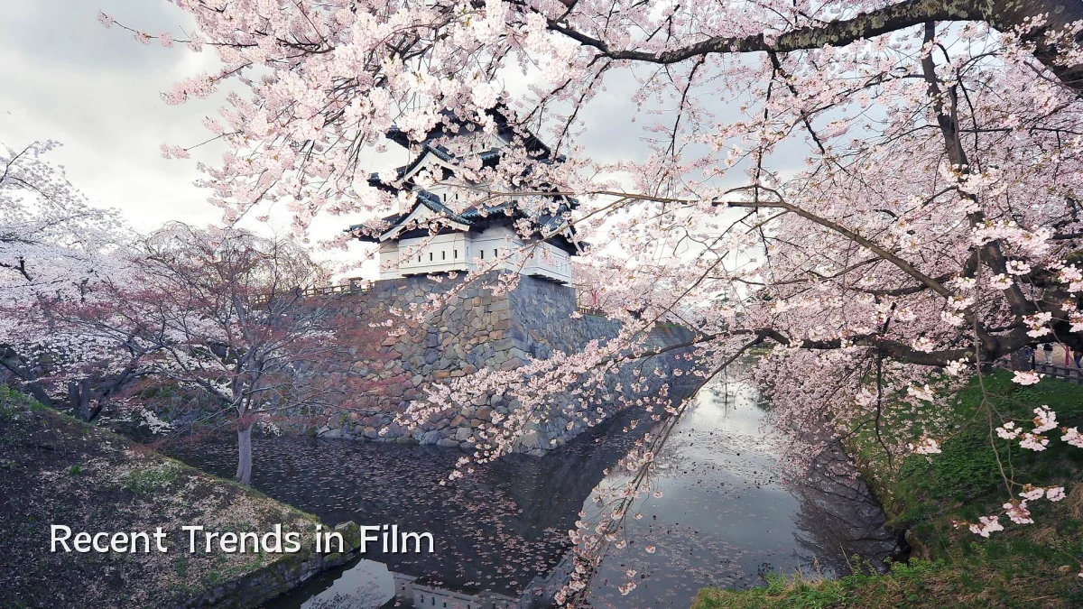 Recent Trends in Film