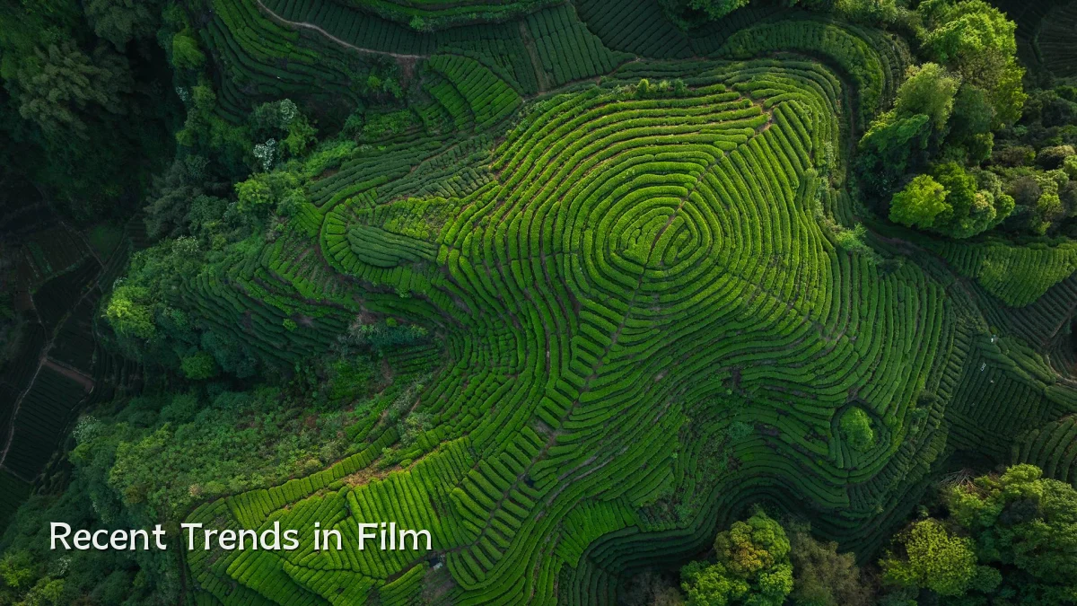 Recent Trends in Film