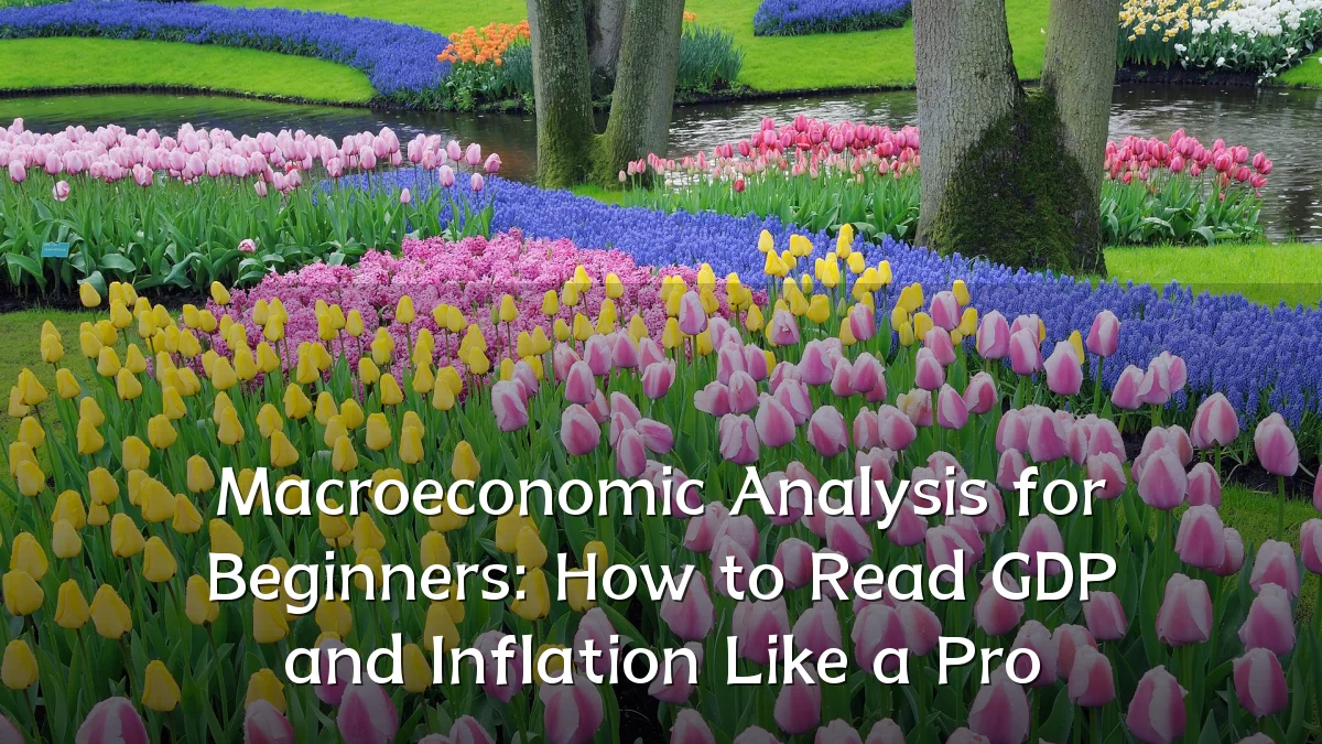 Macroeconomic Analysis for Beginners: How to Read GDP and Inflation Like a Pro