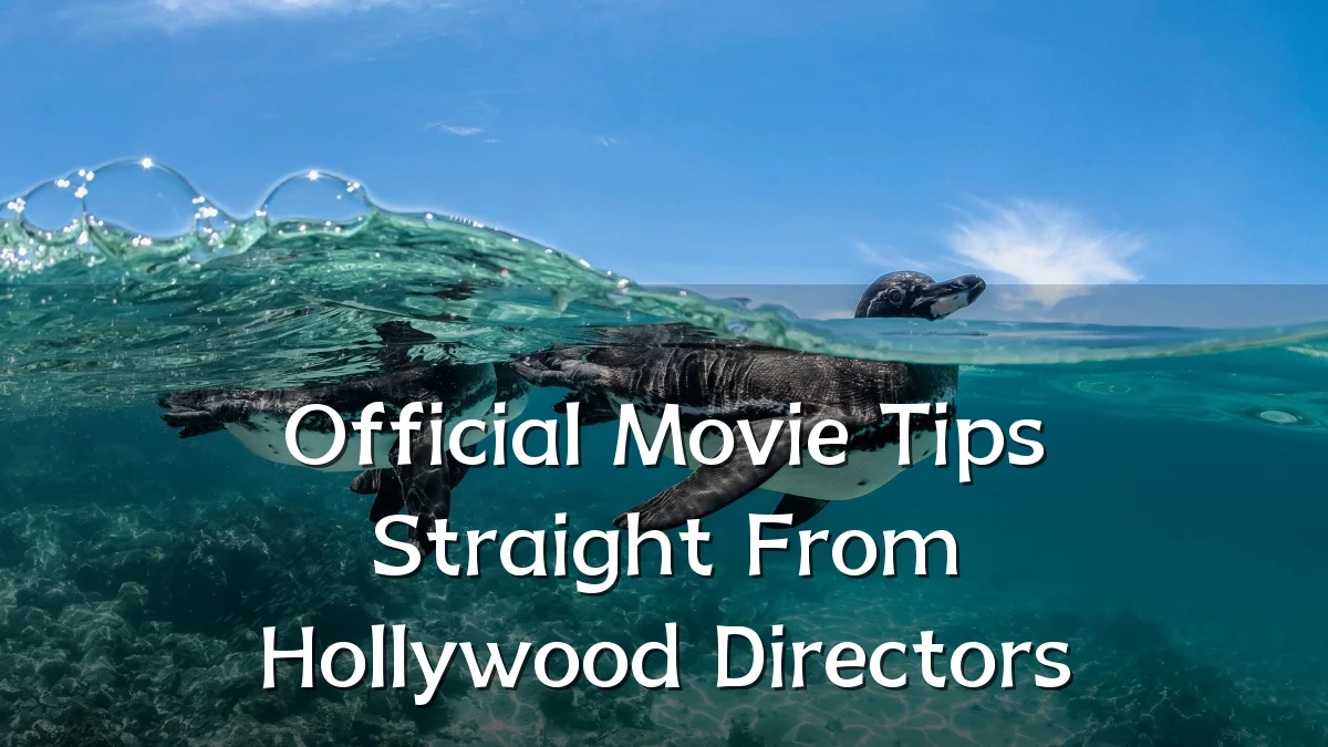 Official Movie Tips Straight From Hollywood Directors