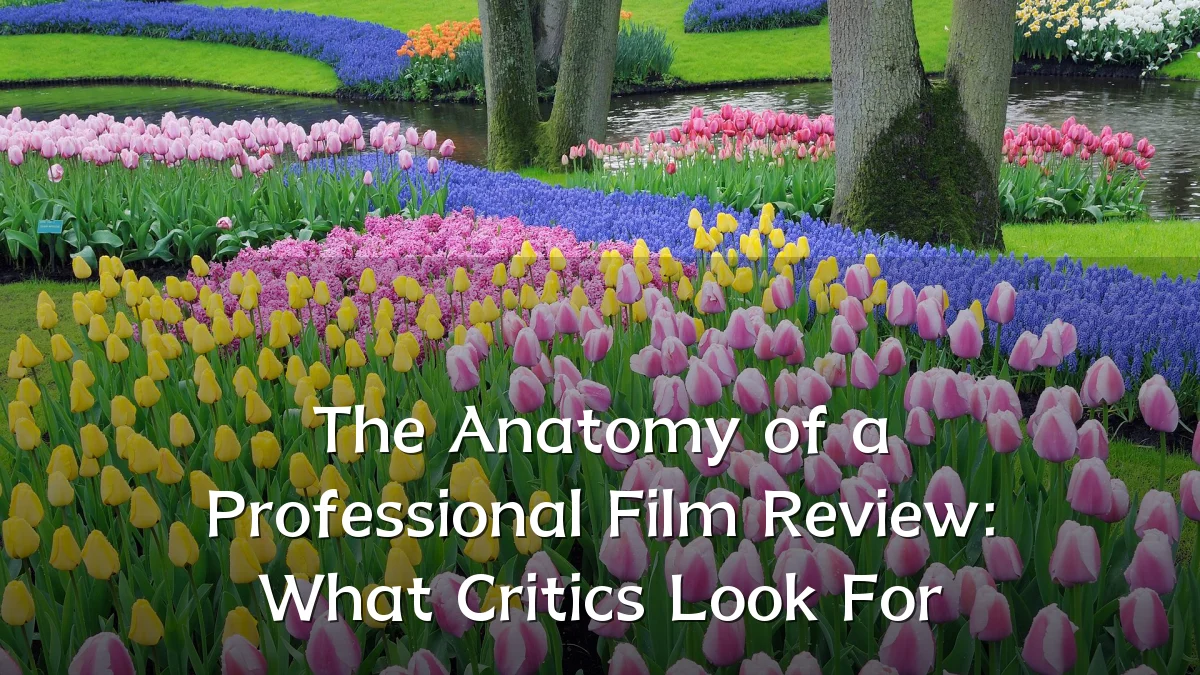 The Anatomy of a Professional Film Review: What Critics Look For