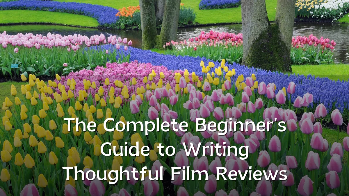 The Complete Beginner's Guide to Writing Thoughtful Film Reviews