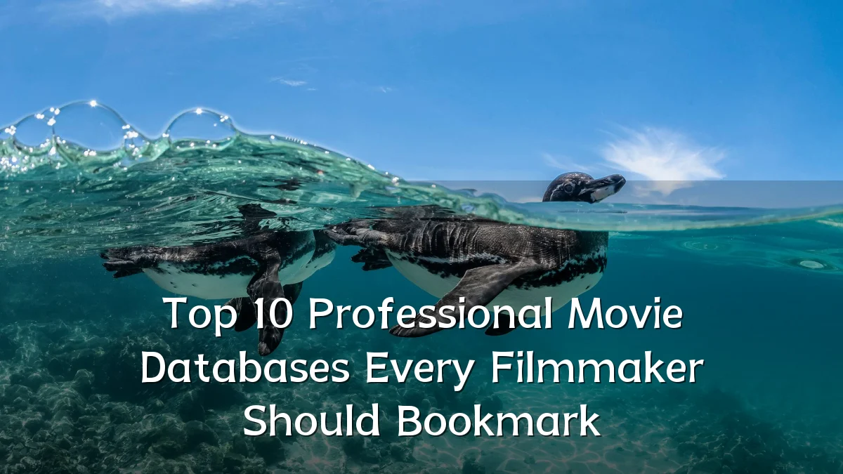 Top 10 Professional Movie Databases Every Filmmaker Should Bookmark
