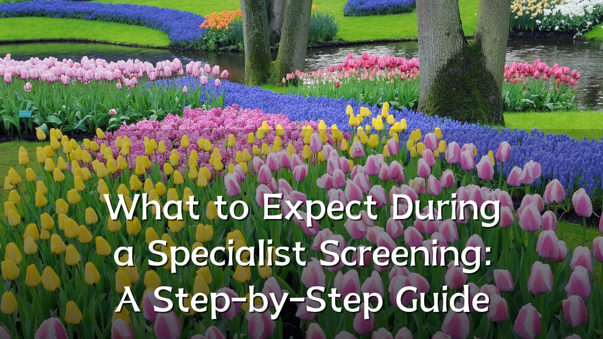 What to Expect During a Specialist Screening: A Step-by-Step Guide