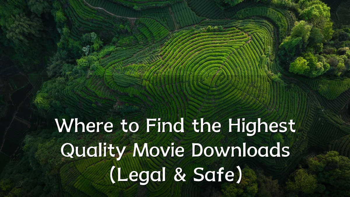 Where to Find the Highest Quality Movie Downloads (Legal & Safe)