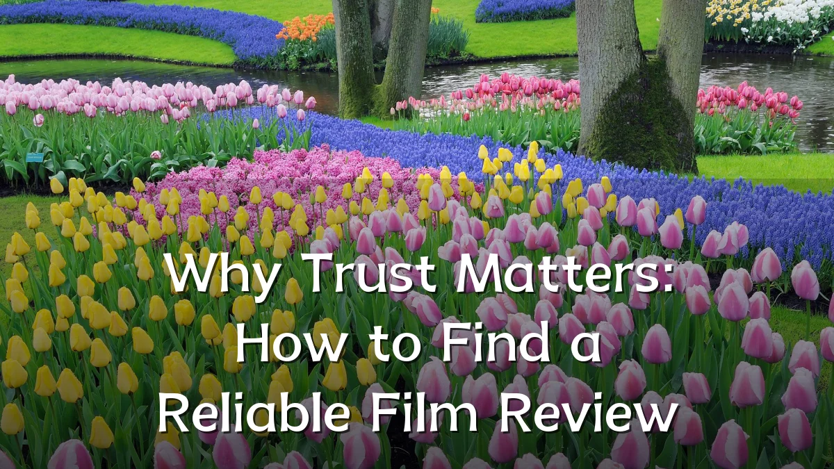 Why Trust Matters: How to Find a Reliable Film Review