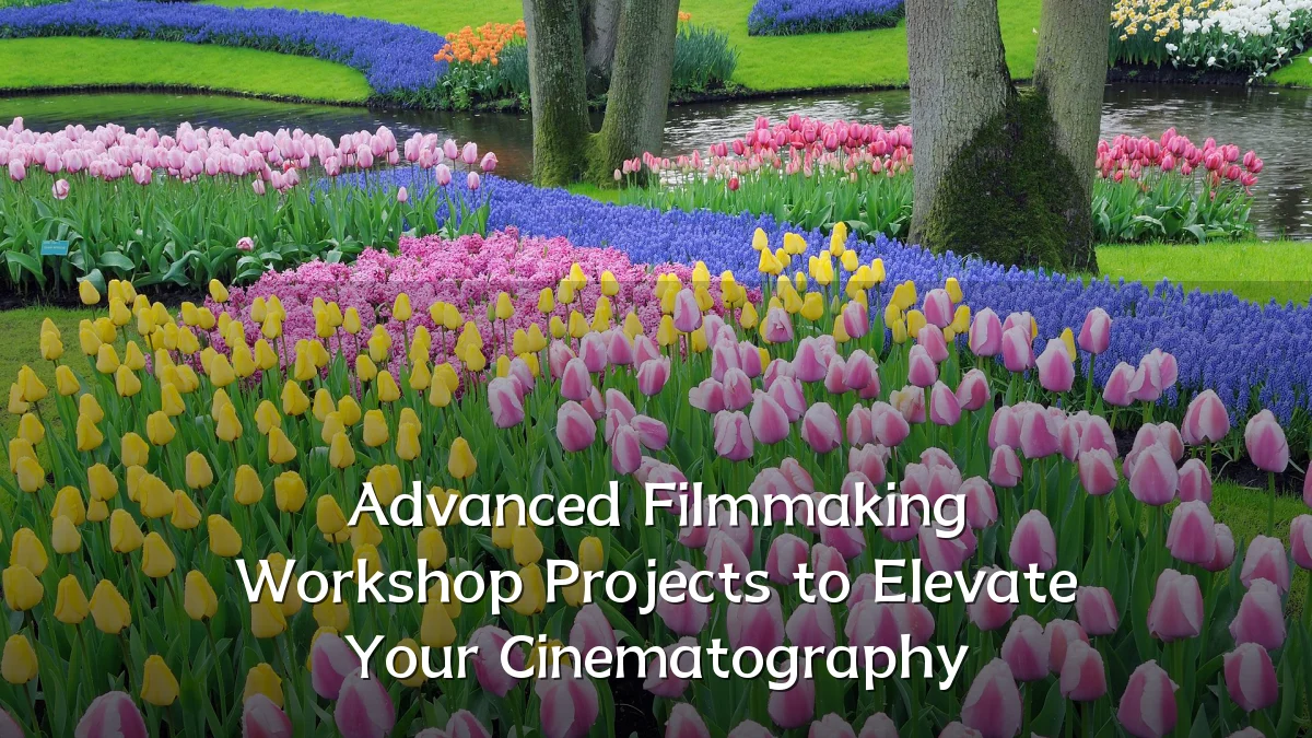 Advanced Filmmaking Workshop Projects to Elevate Your Cinematography
