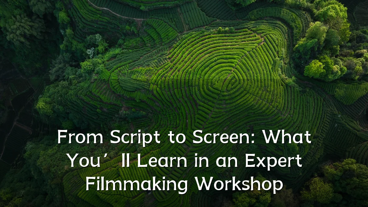 From Script to Screen: What You’ll Learn in an Expert Filmmaking Workshop