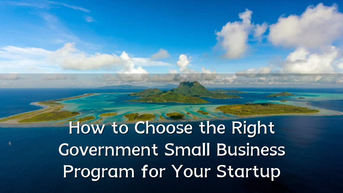 How to Choose the Right Government Small Business Program for Your Startup