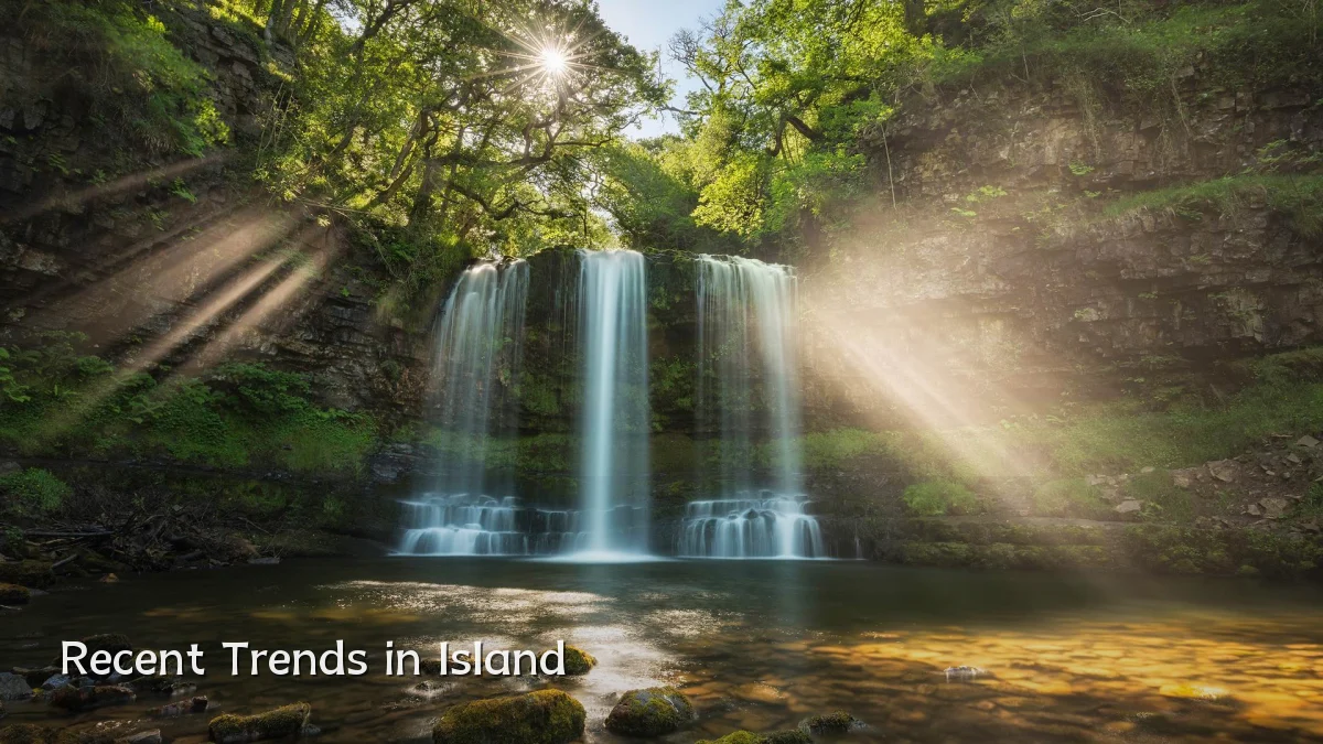 Recent Trends in Island